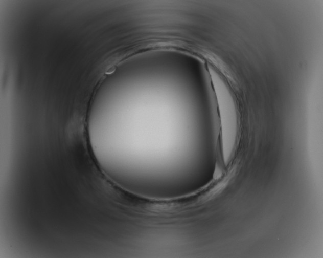 X0000092100985200710031209