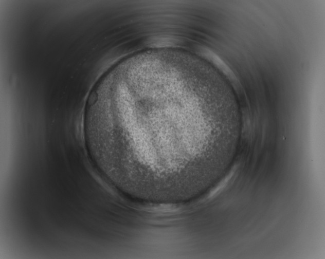 X0000092100986200710031209