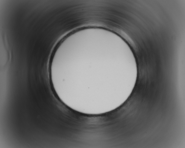 X0000092100988200710031209