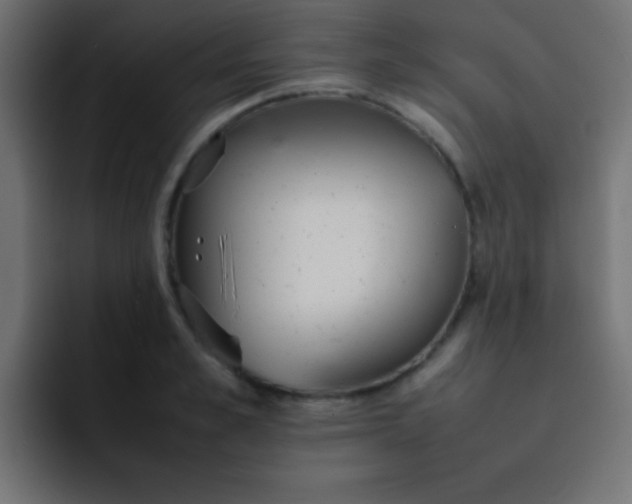 X0000092100989200710031209