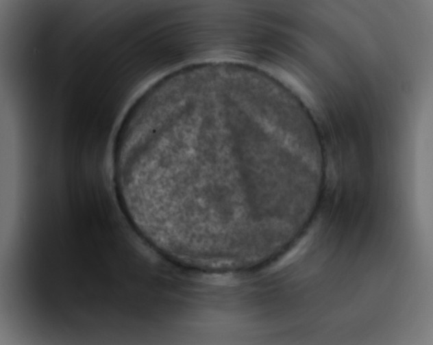 X0000092100990200710031209