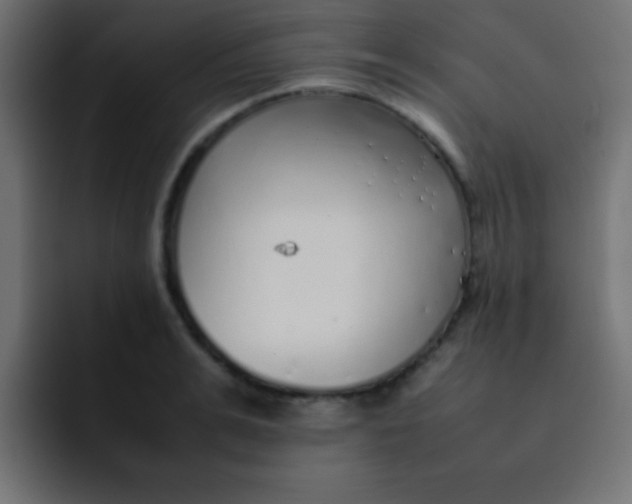 X0000092100991200710031209