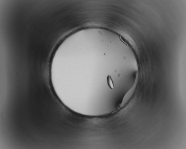 X0000092100992200710031209