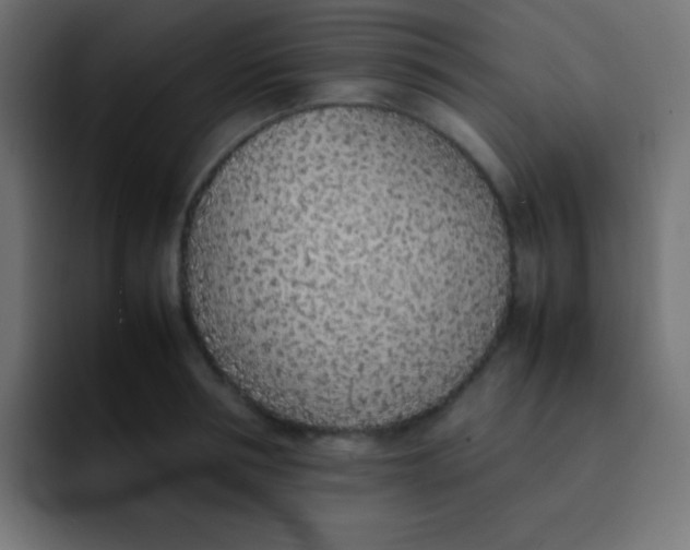 X0000092100994200710031209