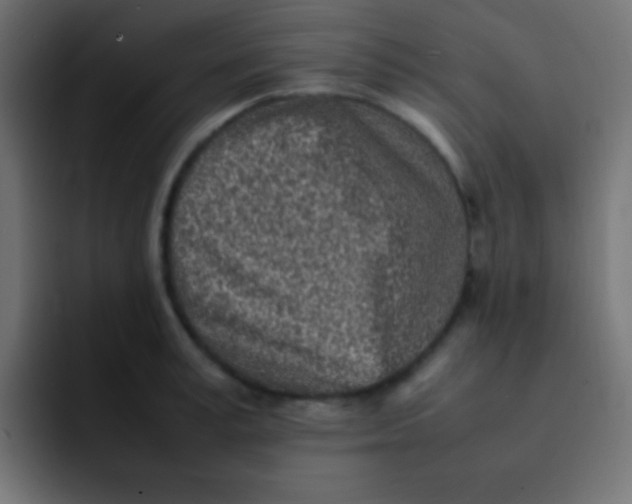 X0000092100995200710031209