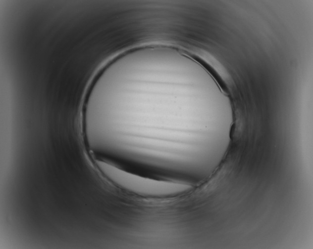 X0000092100996200710031209