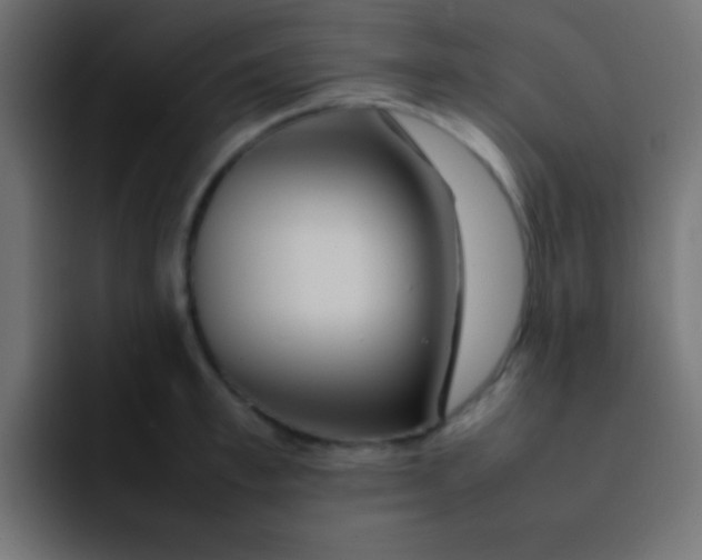 X0000092100997200710031209