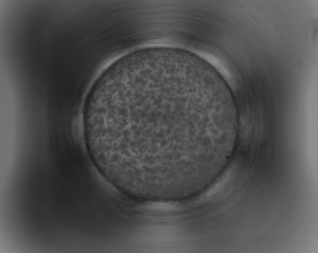 X0000092100998200710031209