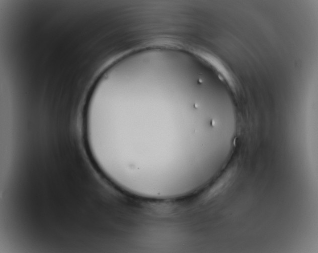 X0000092100999200710031209