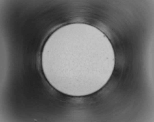 X0000092101000200710031209