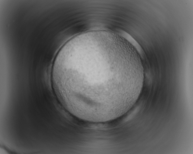 X0000092101002200710031209