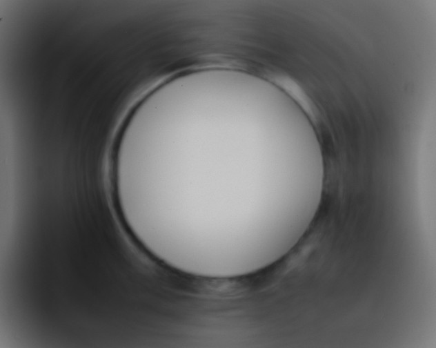 X0000092101003200710031209