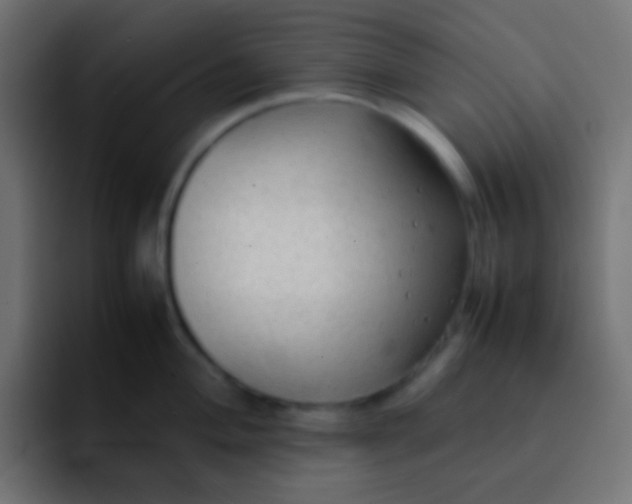 X0000092101004200710031209