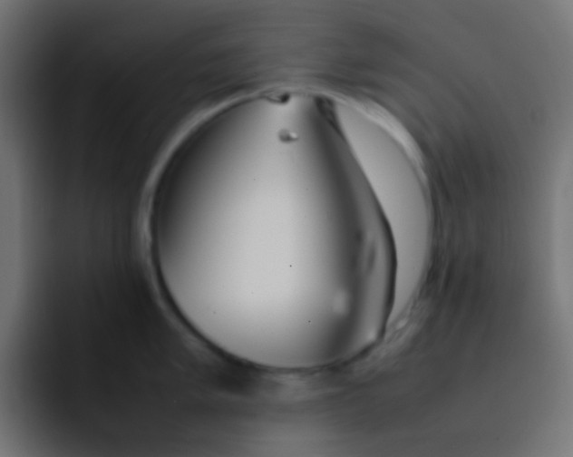 X0000092101005200710031209