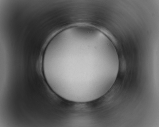 X0000092101006200710031209