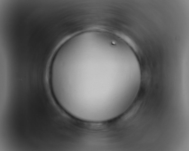 X0000092101007200710031209