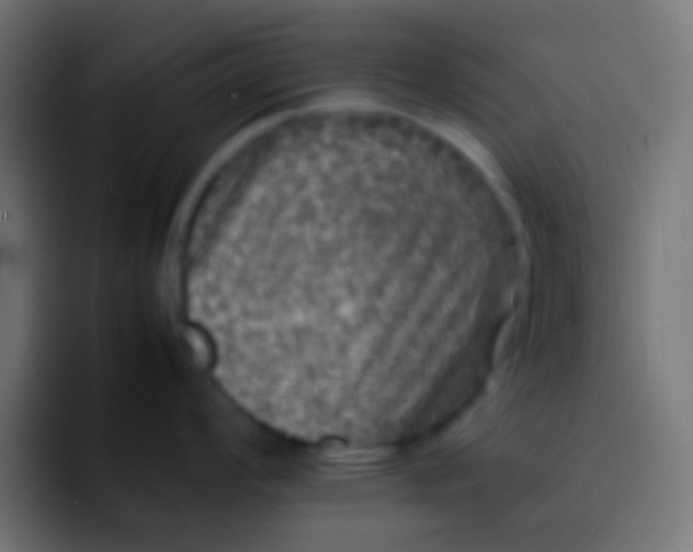 X0000092101008200710031209