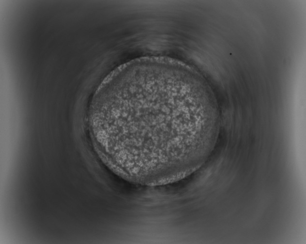 X0000092101009200710031208