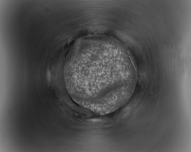 X0000092101010200710031208