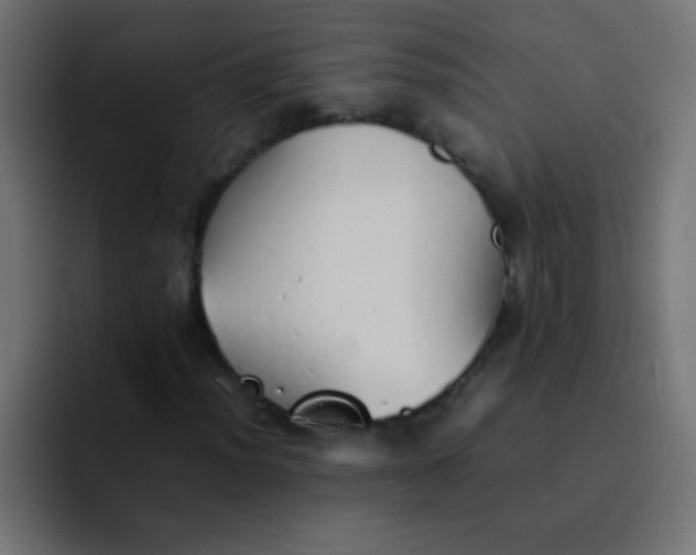 X0000092101012200710031208