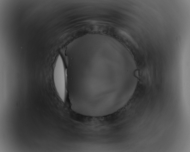 X0000092101013200710031208