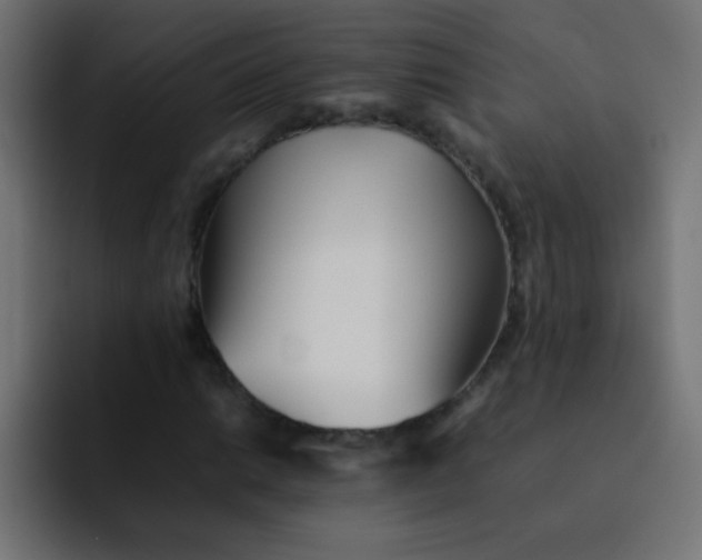 X0000092101014200710031208