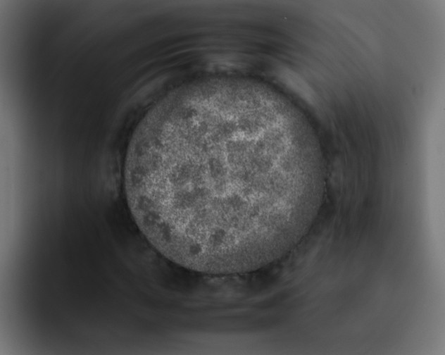 X0000092101015200710031208