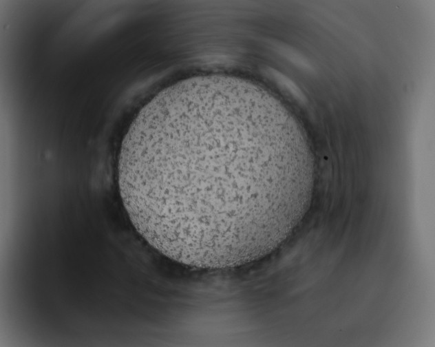 X0000092101016200710031208