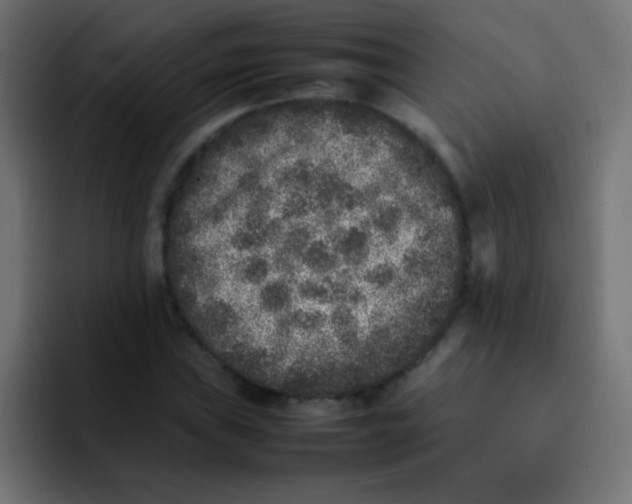 X0000092101019200710031208