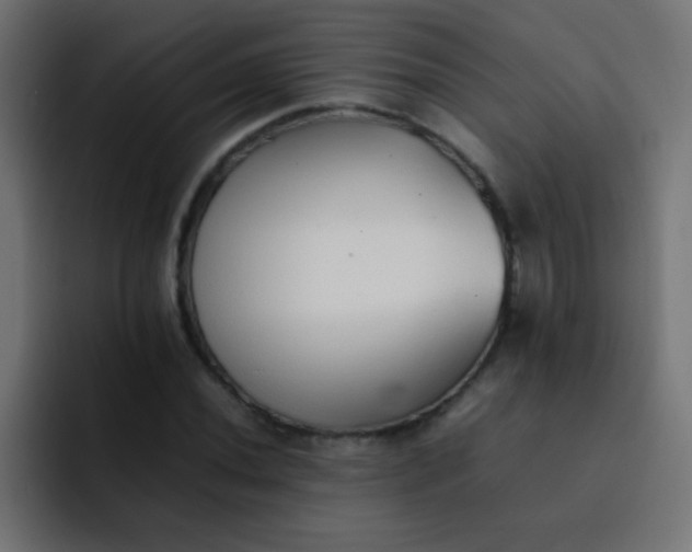 X0000092101020200710031208