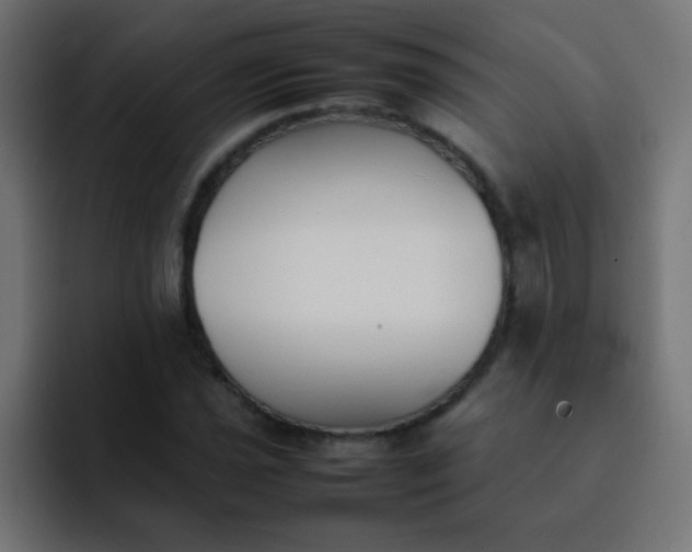 X0000092101021200710031208