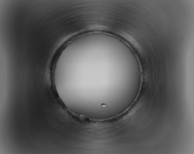 X0000092101022200710031208