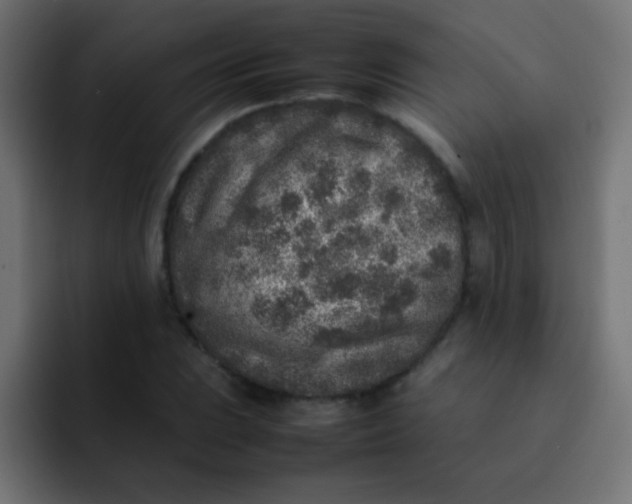 X0000092101023200710031208