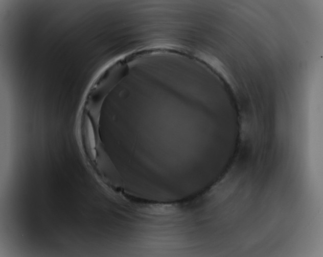 X0000092101024200710031208