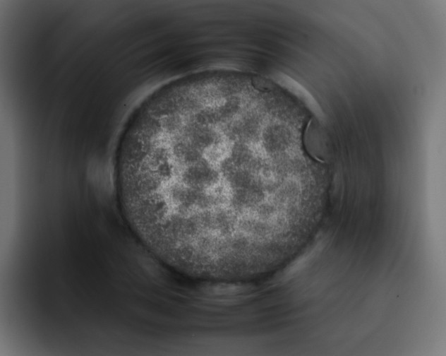 X0000092101027200710031208