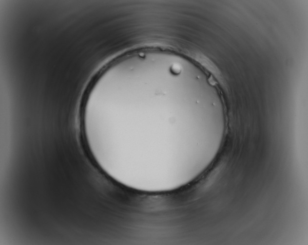 X0000092101028200710031208