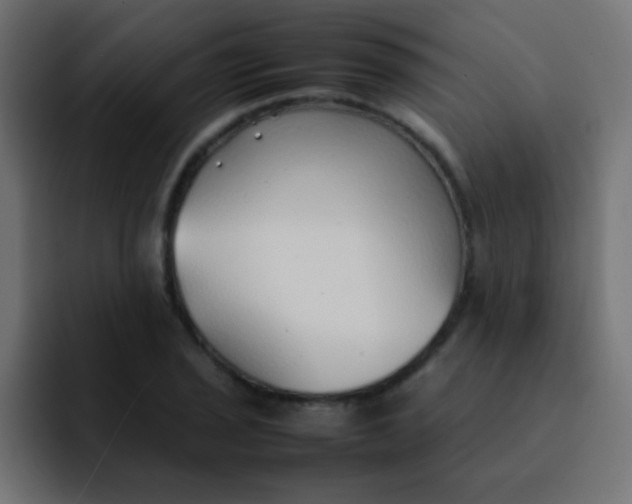 X0000092101029200710031208