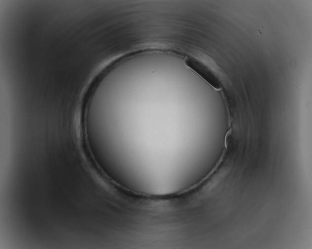 X0000092101030200710031208