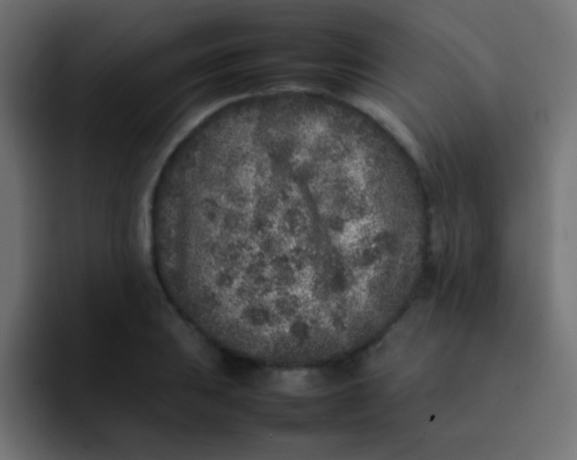 X0000092101031200710031208