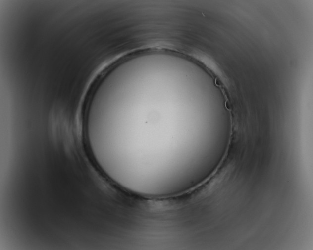 X0000092101032200710031208