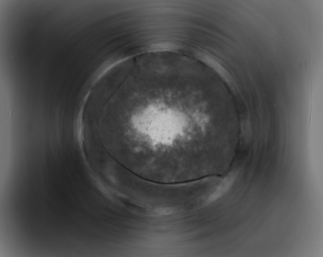 X0000092101034200710031208