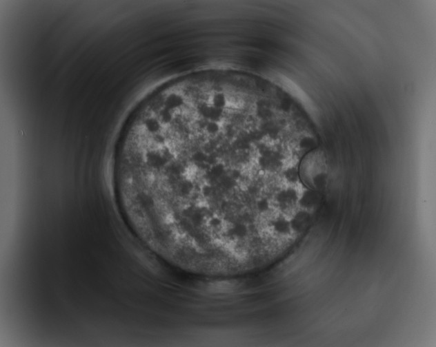 X0000092101035200710031208