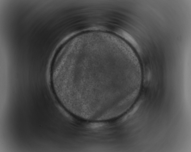 X0000092101037200710031208