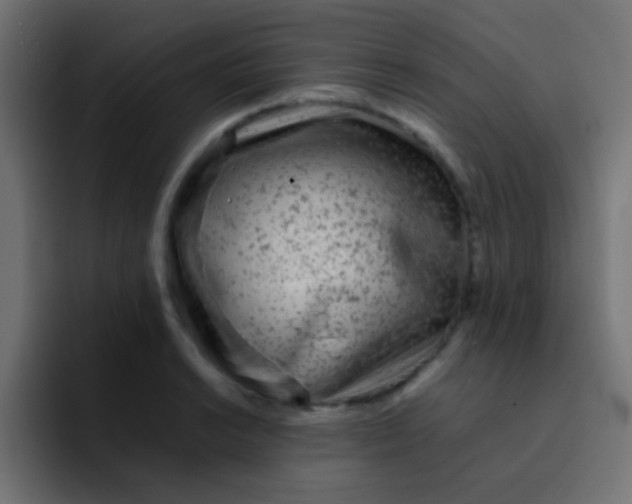 X0000092101038200710031209