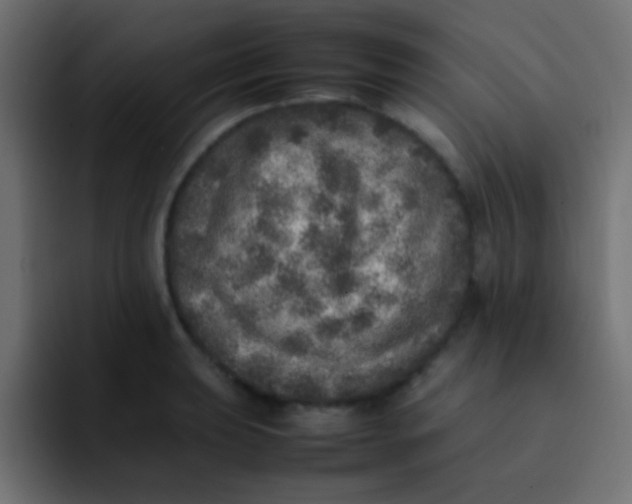 X0000092101039200710031209