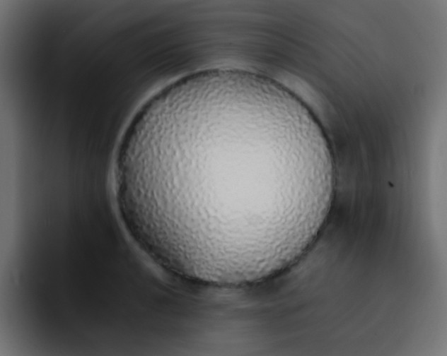 X0000092101040200710031209