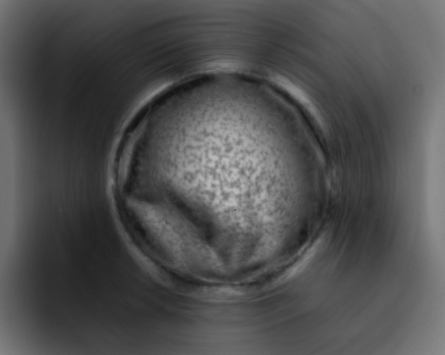 X0000092101042200710031209