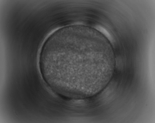 X0000092101043200710031209