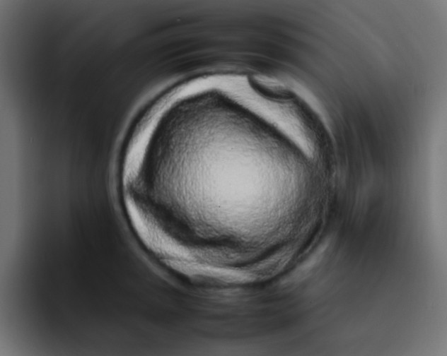 X0000092101045200710031209