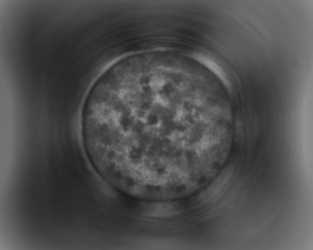 X0000092101047200710031209